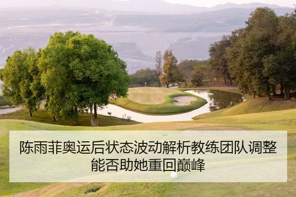 陈雨菲奥运后状态波动解析教练团队调整能否助她重回巅峰