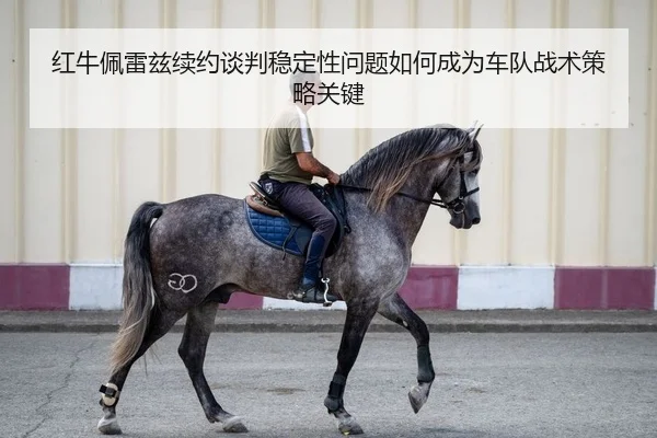 红牛佩雷兹续约谈判稳定性问题如何成为车队战术策略关键 | kaiyun